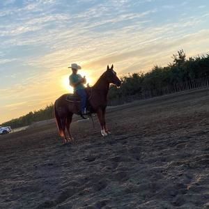 Meet your Posher, Geoffrey